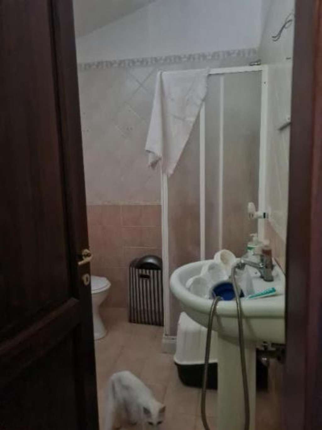  - foto 11
