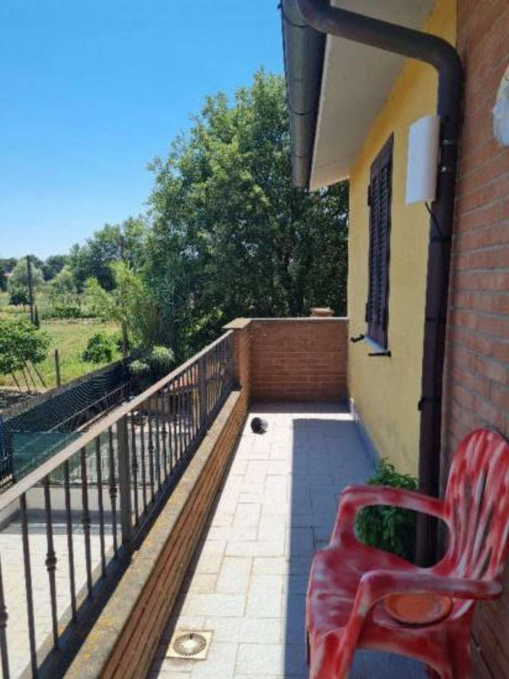 - foto 14
