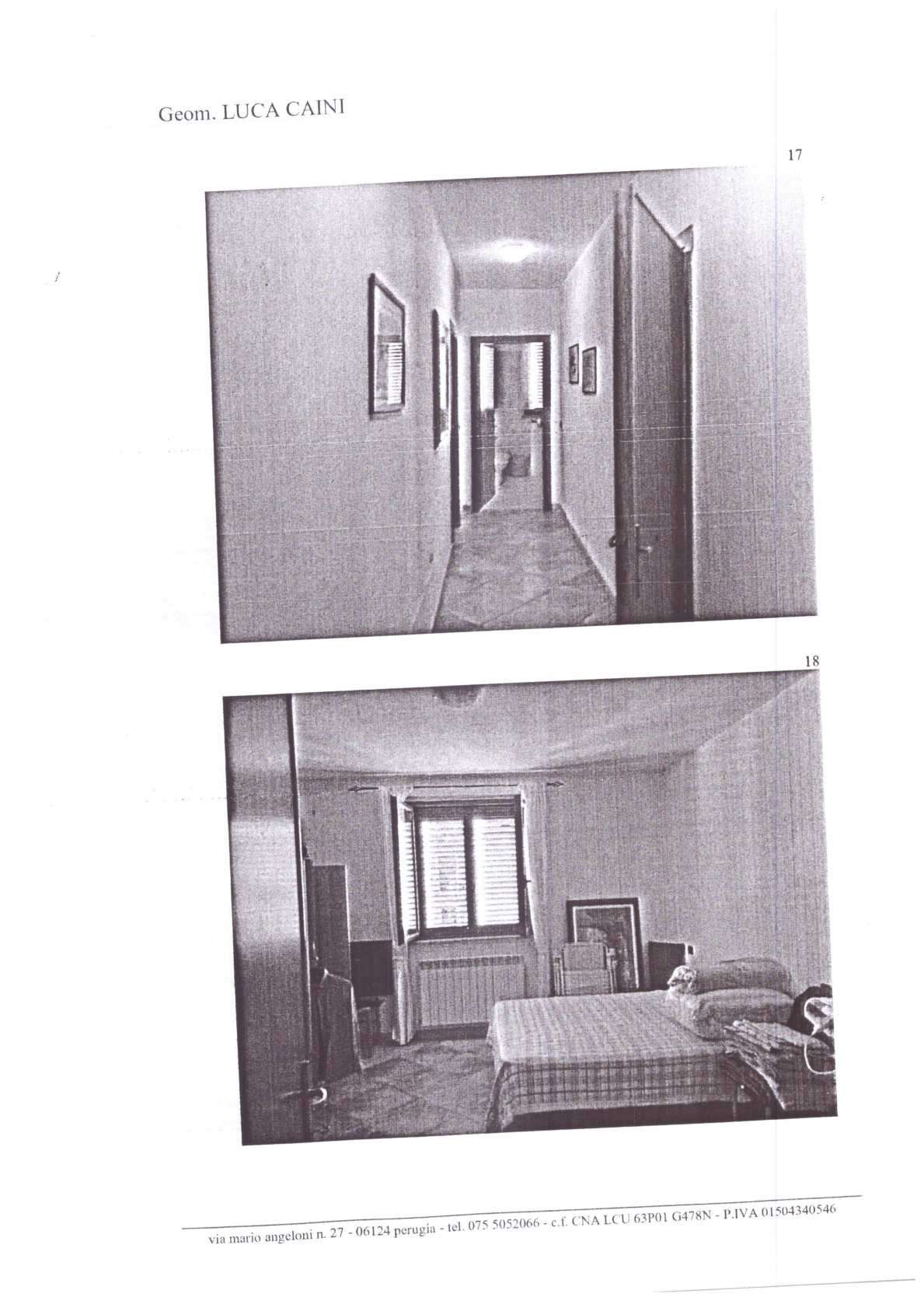  - foto 11