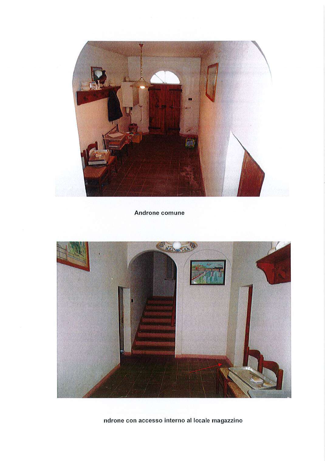  - foto 7