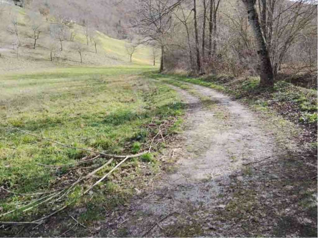  - foto 13