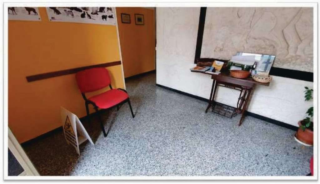  - foto 14