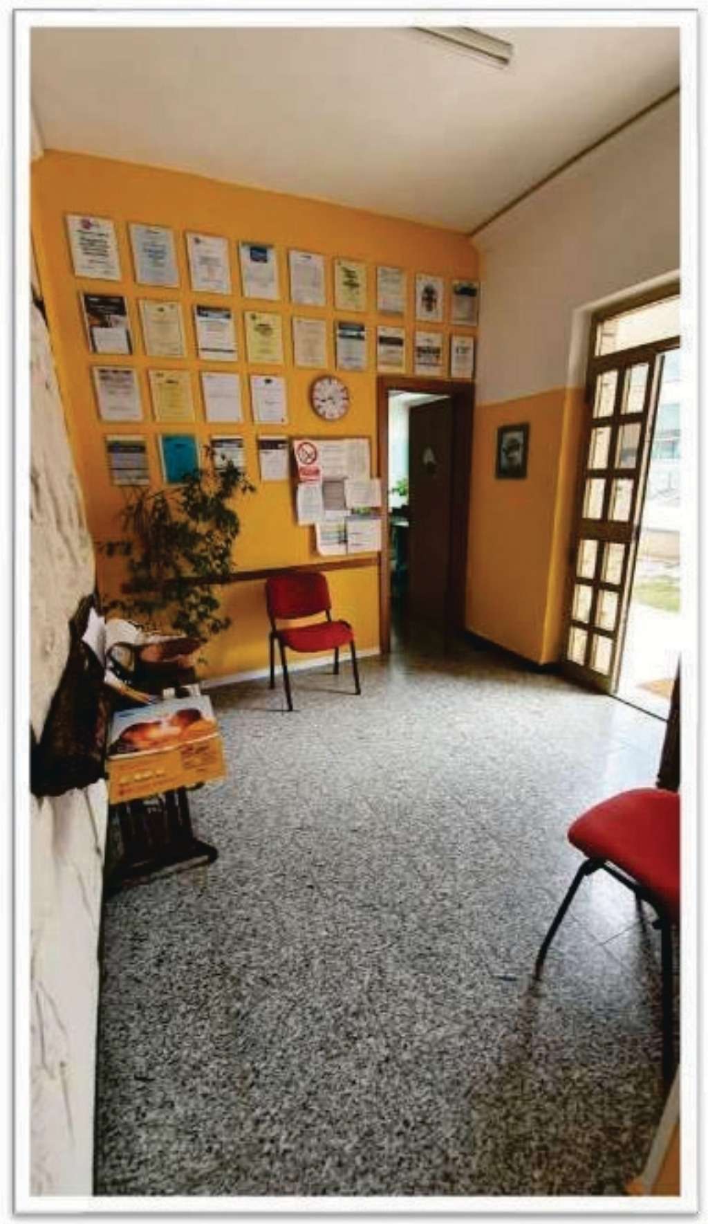  - foto 18