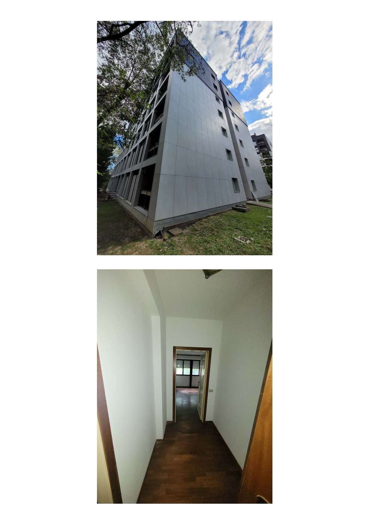  - foto 6