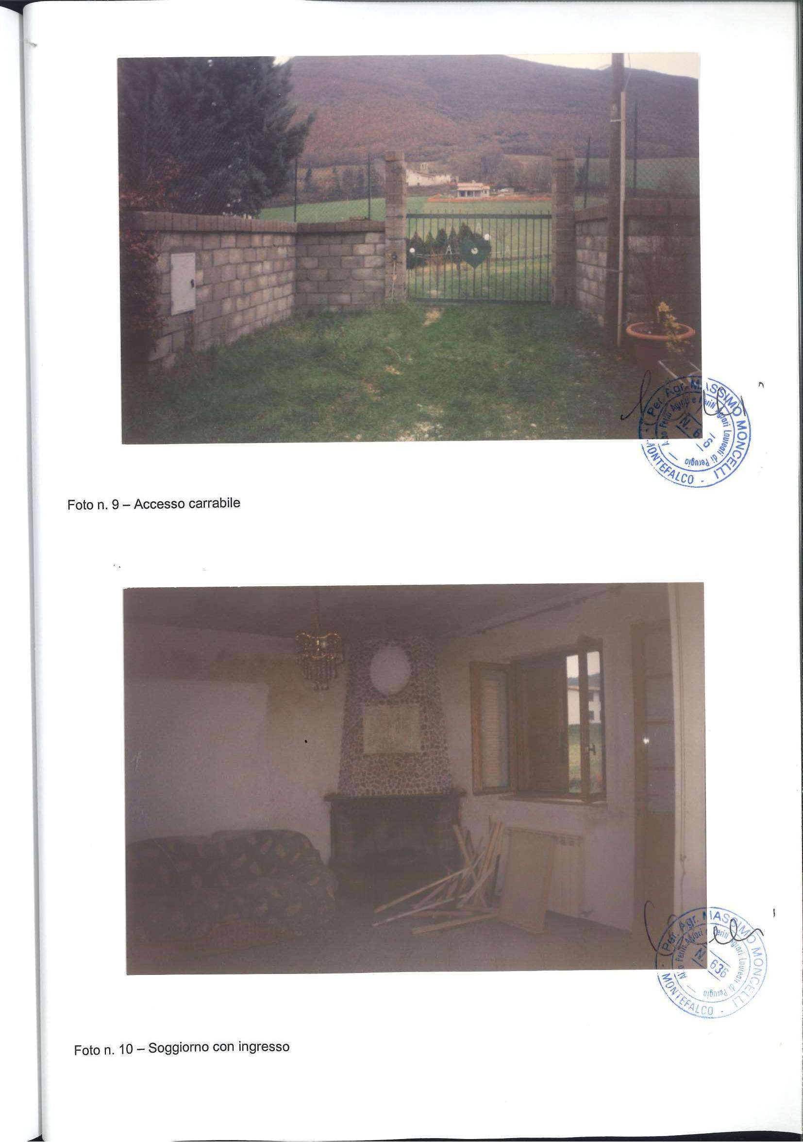  - foto 11