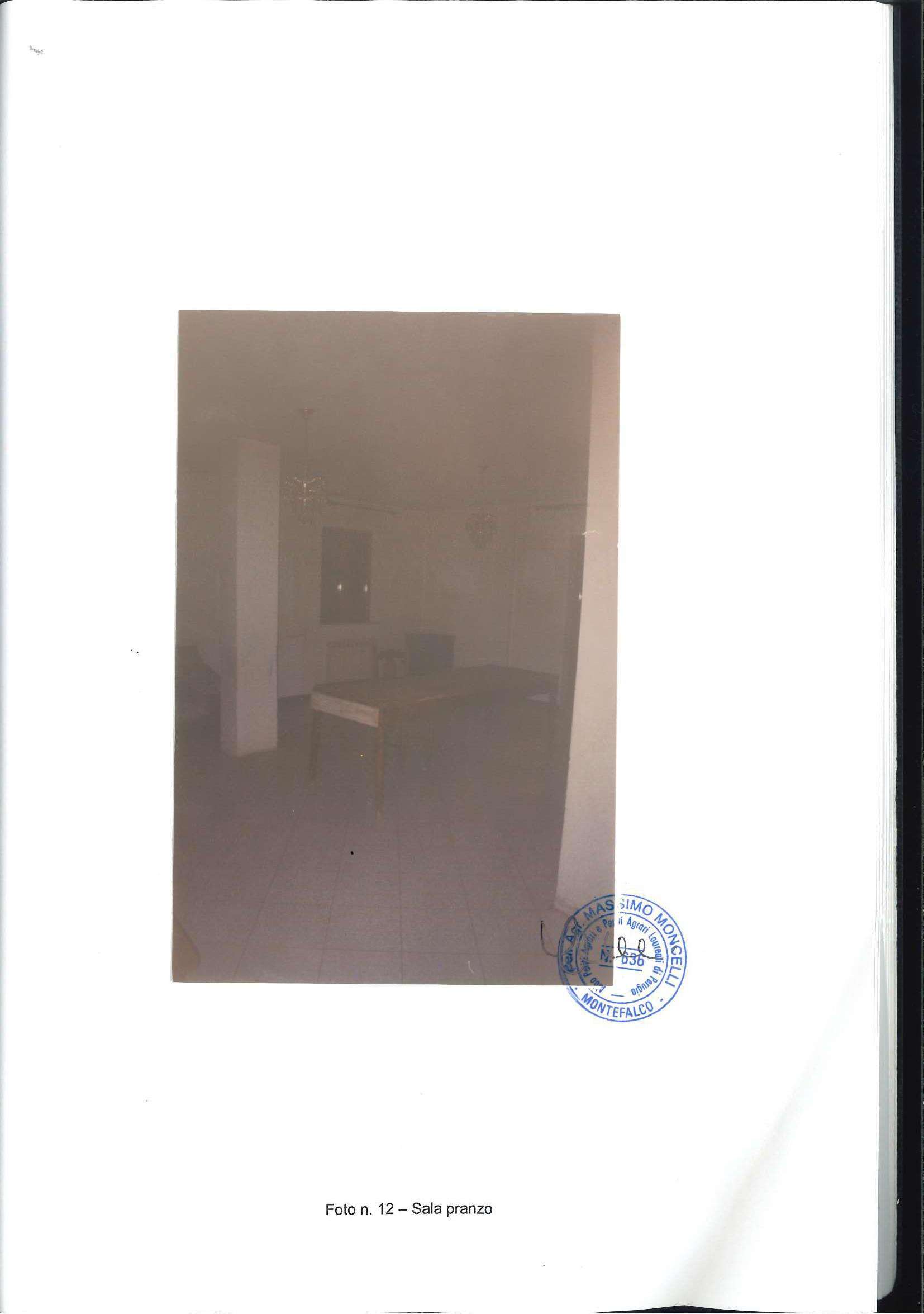 - foto 13