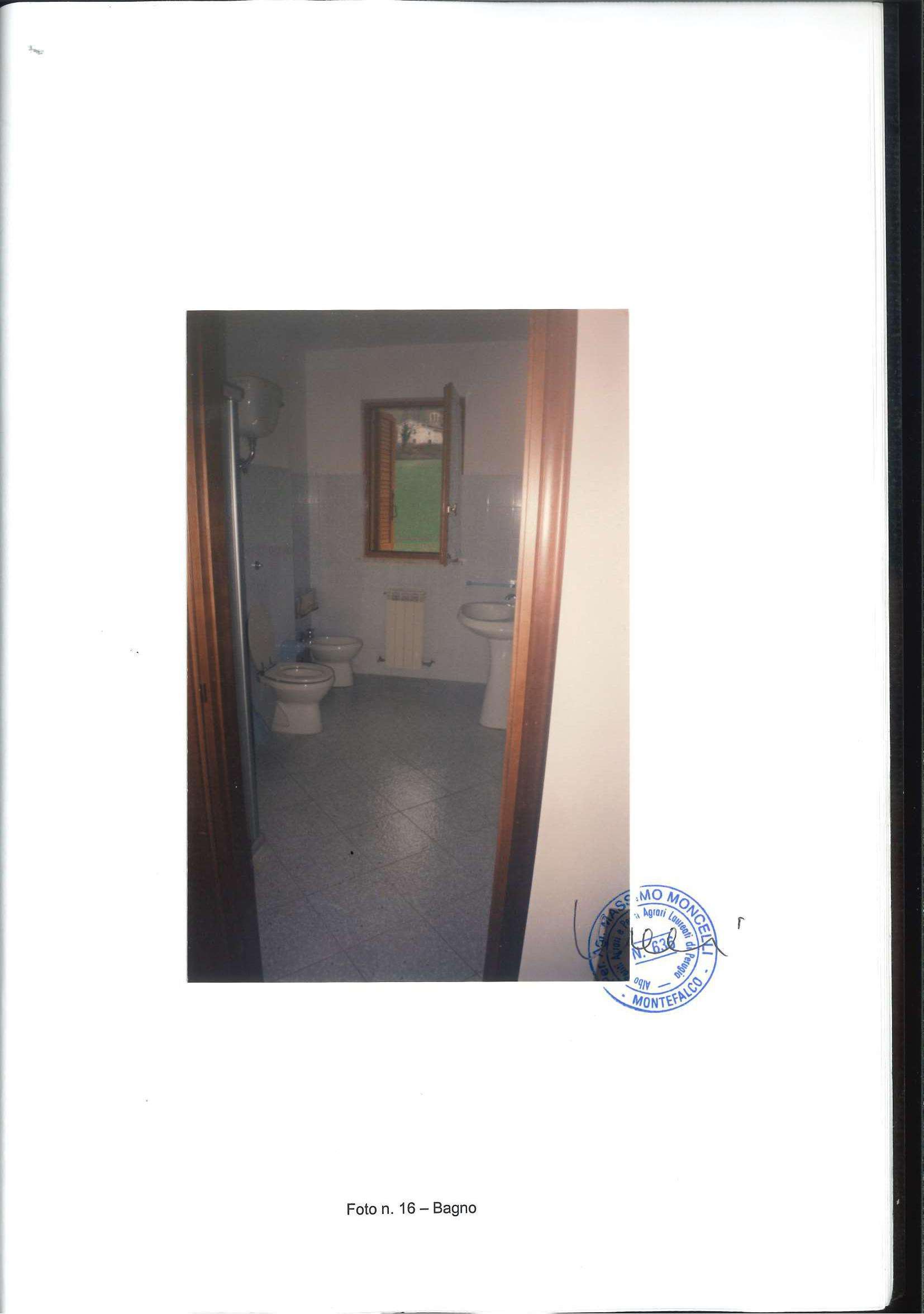  - foto 16