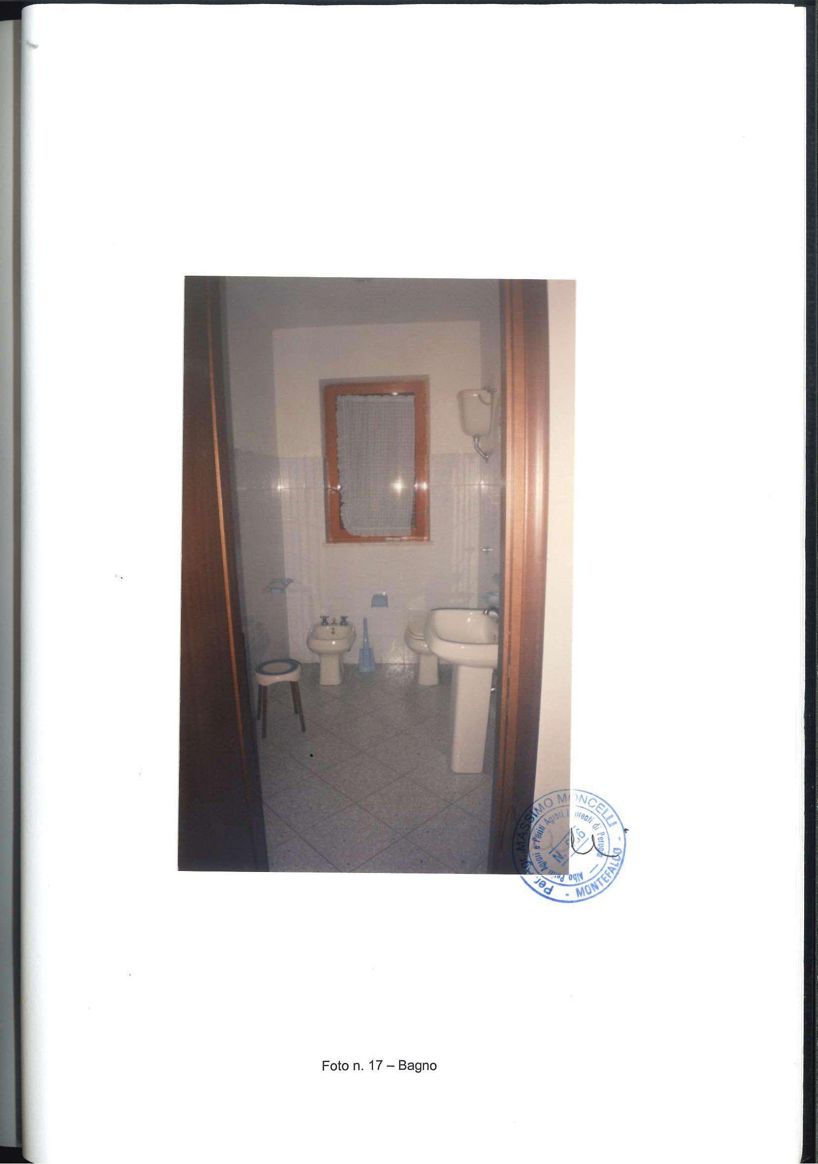  - foto 17