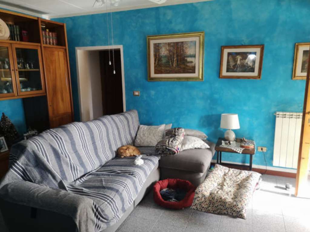  - foto 19