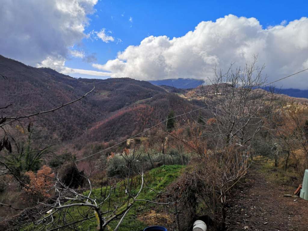  - foto 22