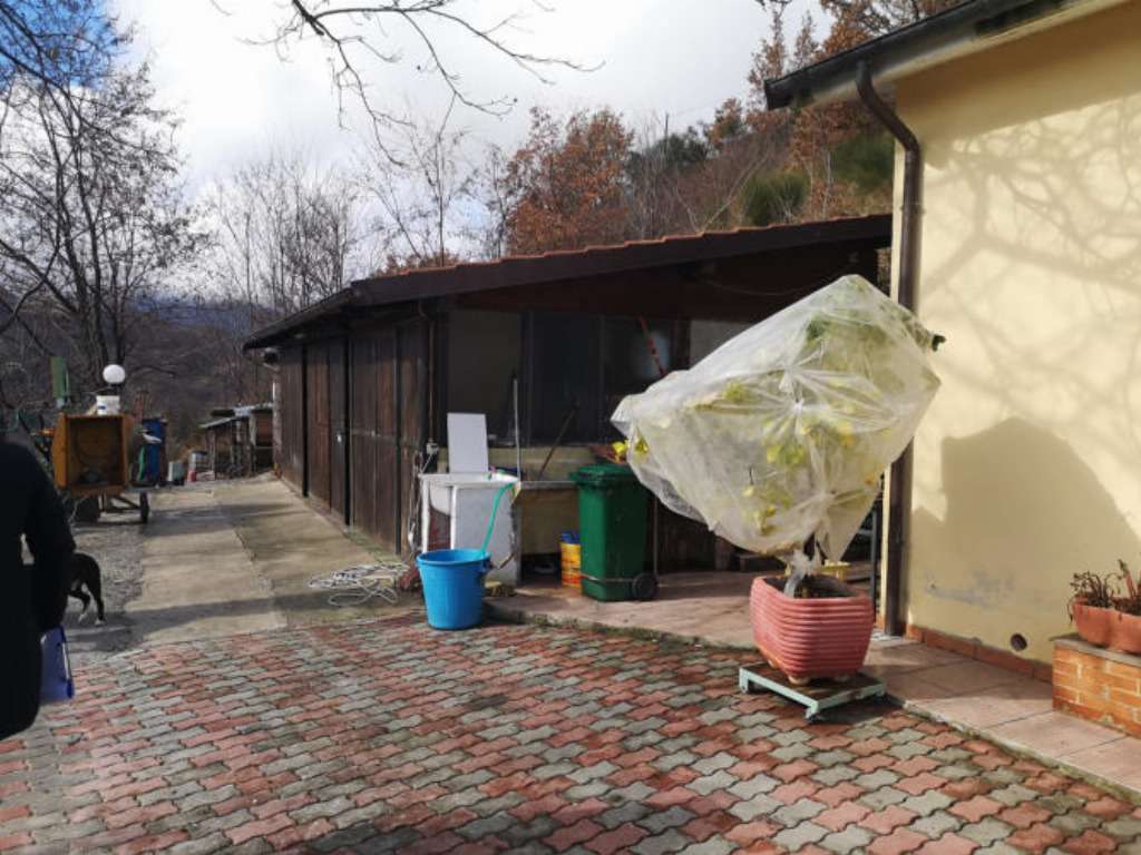  - foto 4