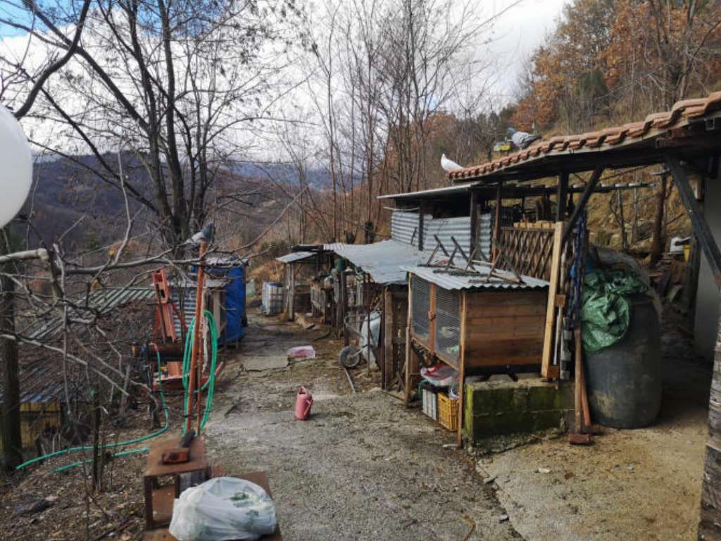  - foto 5