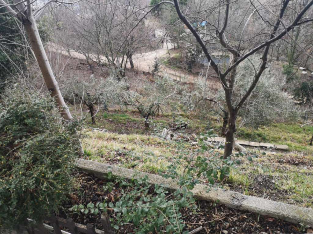  - foto 6