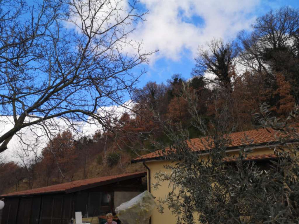  - foto 8