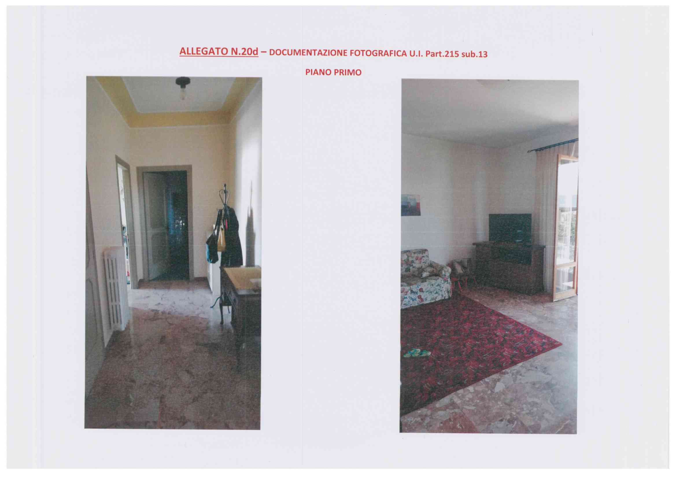  - foto 19