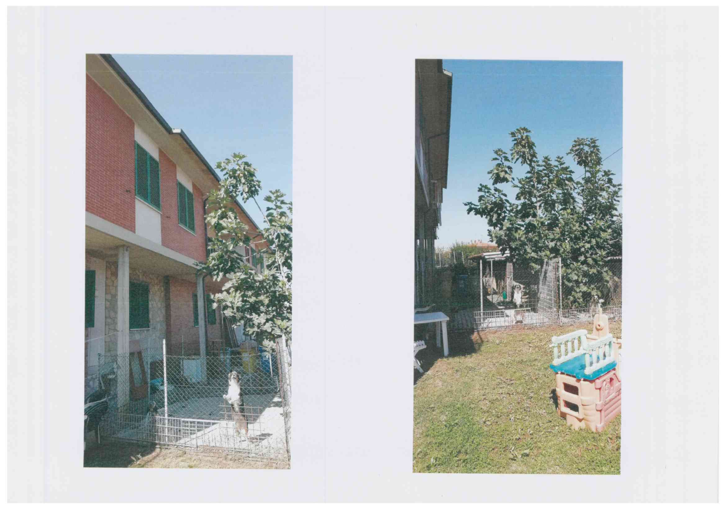  - foto 7