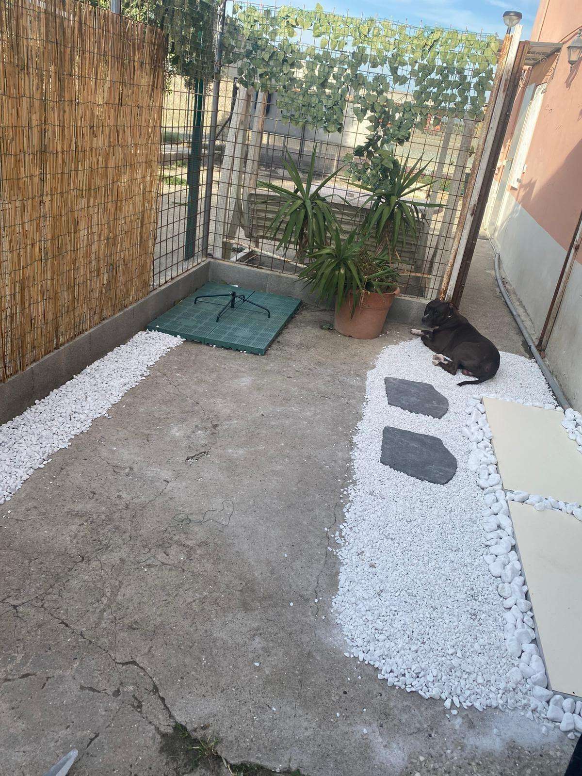  - foto 17