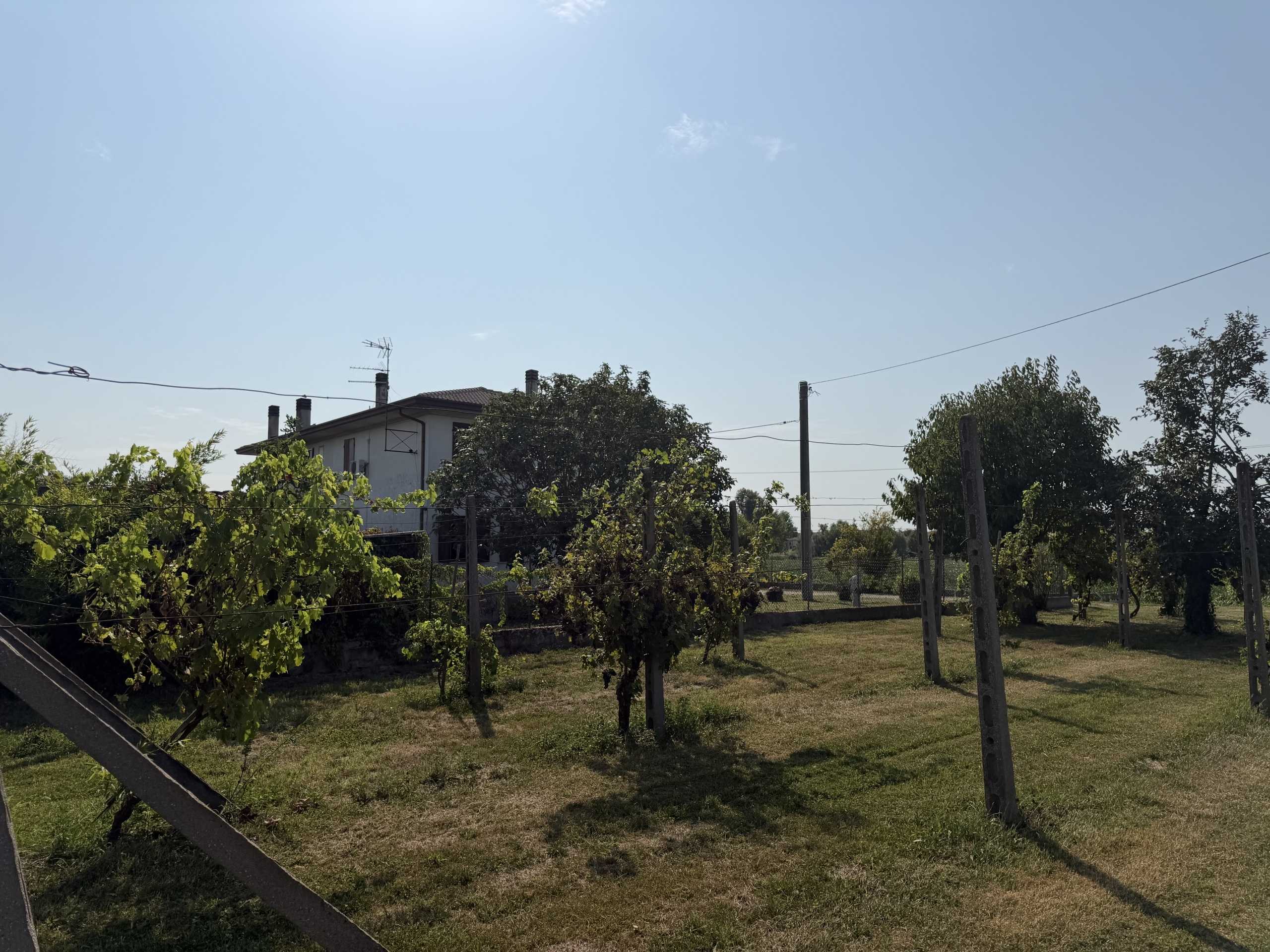  - foto 5