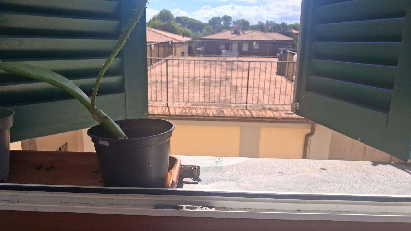  - foto 7