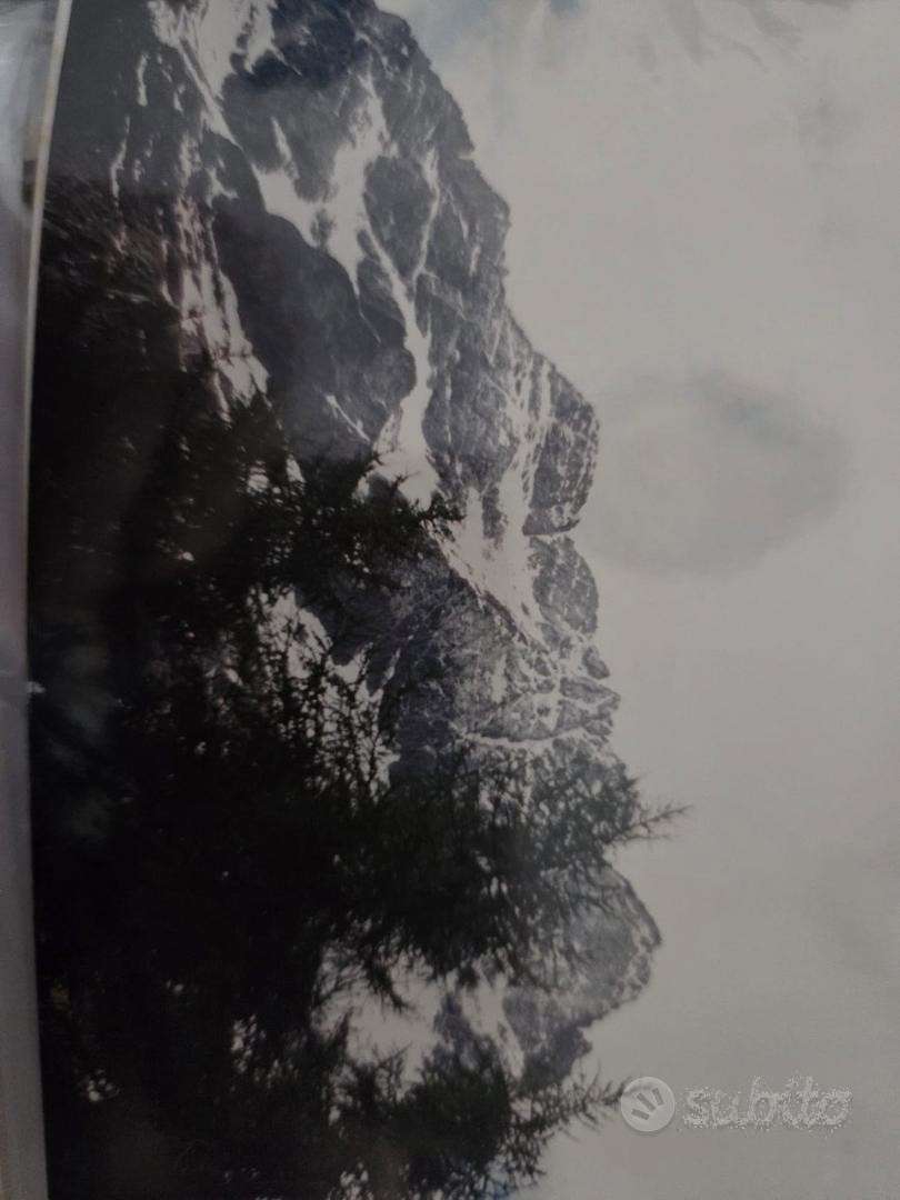  - foto 11