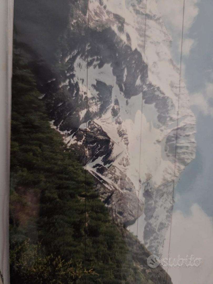  - foto 15