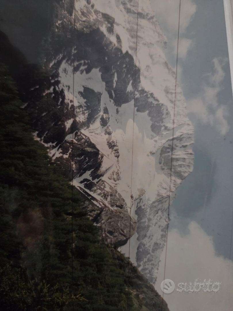  - foto 19
