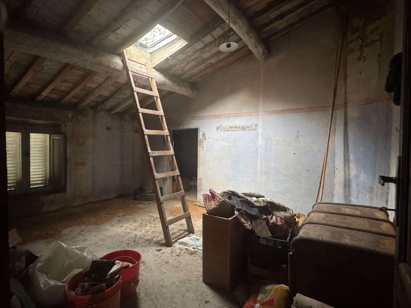  - foto 41