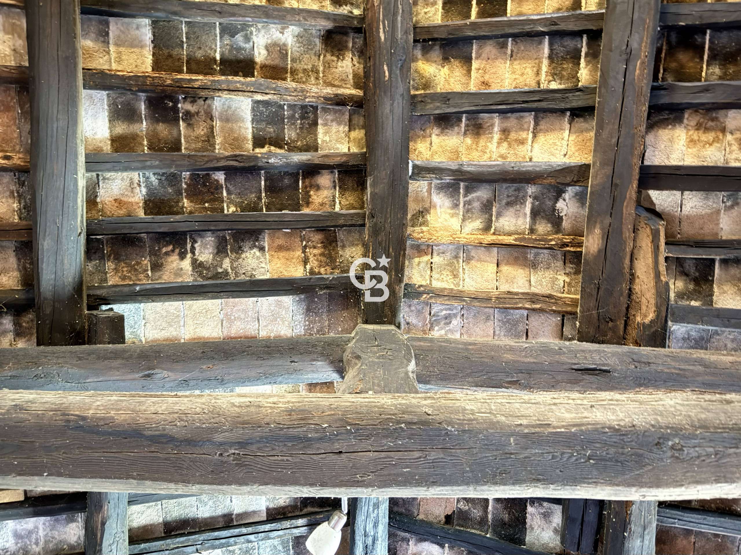  - foto 8