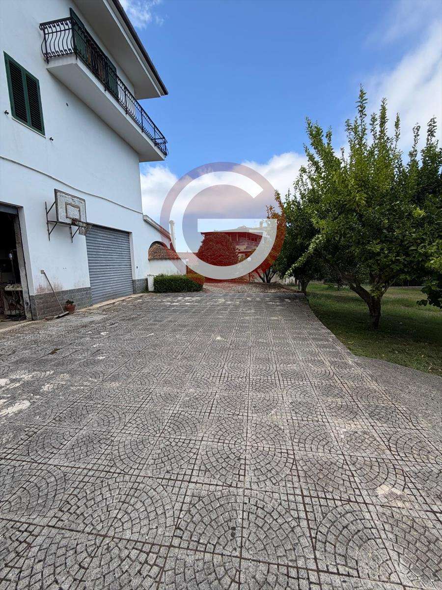  - foto 5