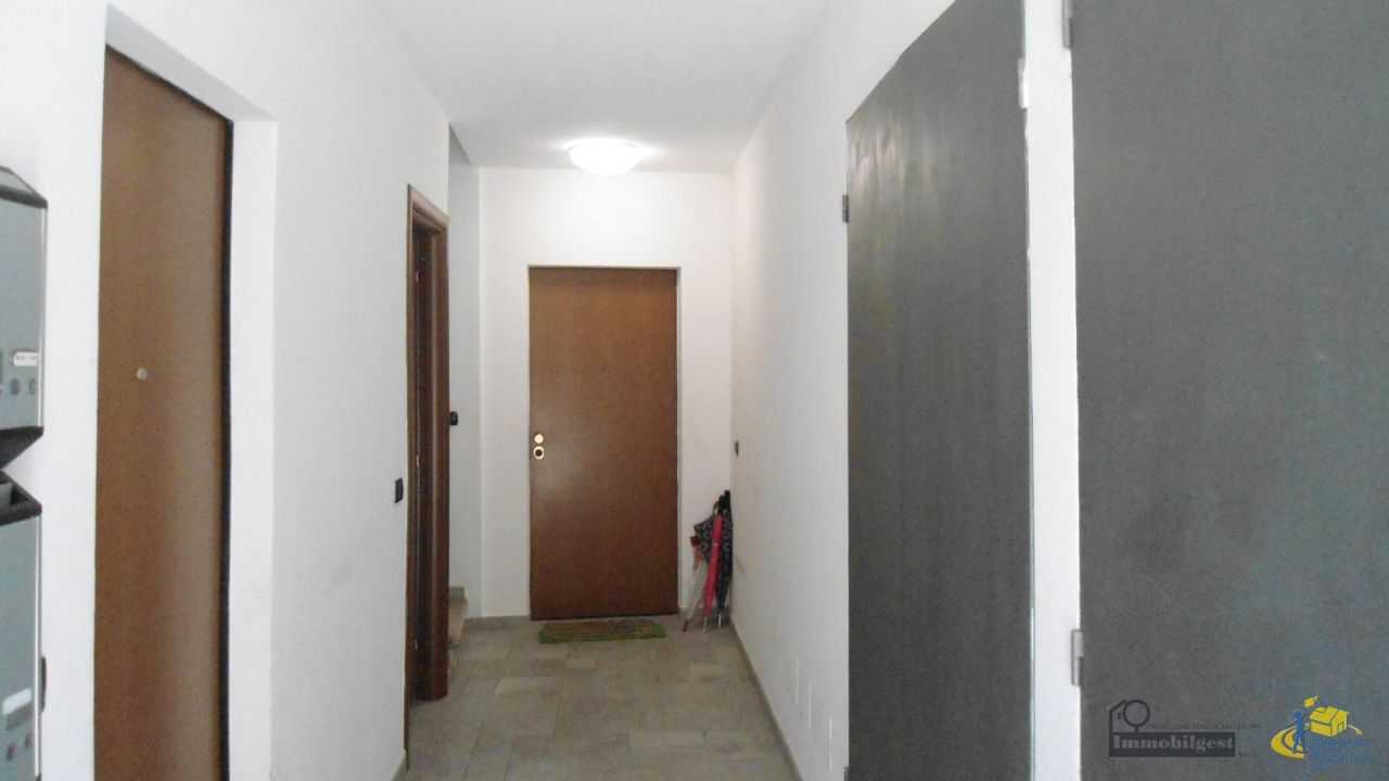  - foto 13