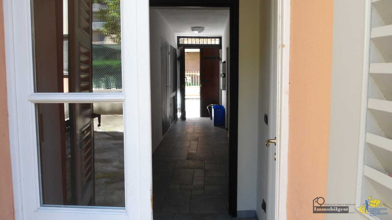  - foto 17