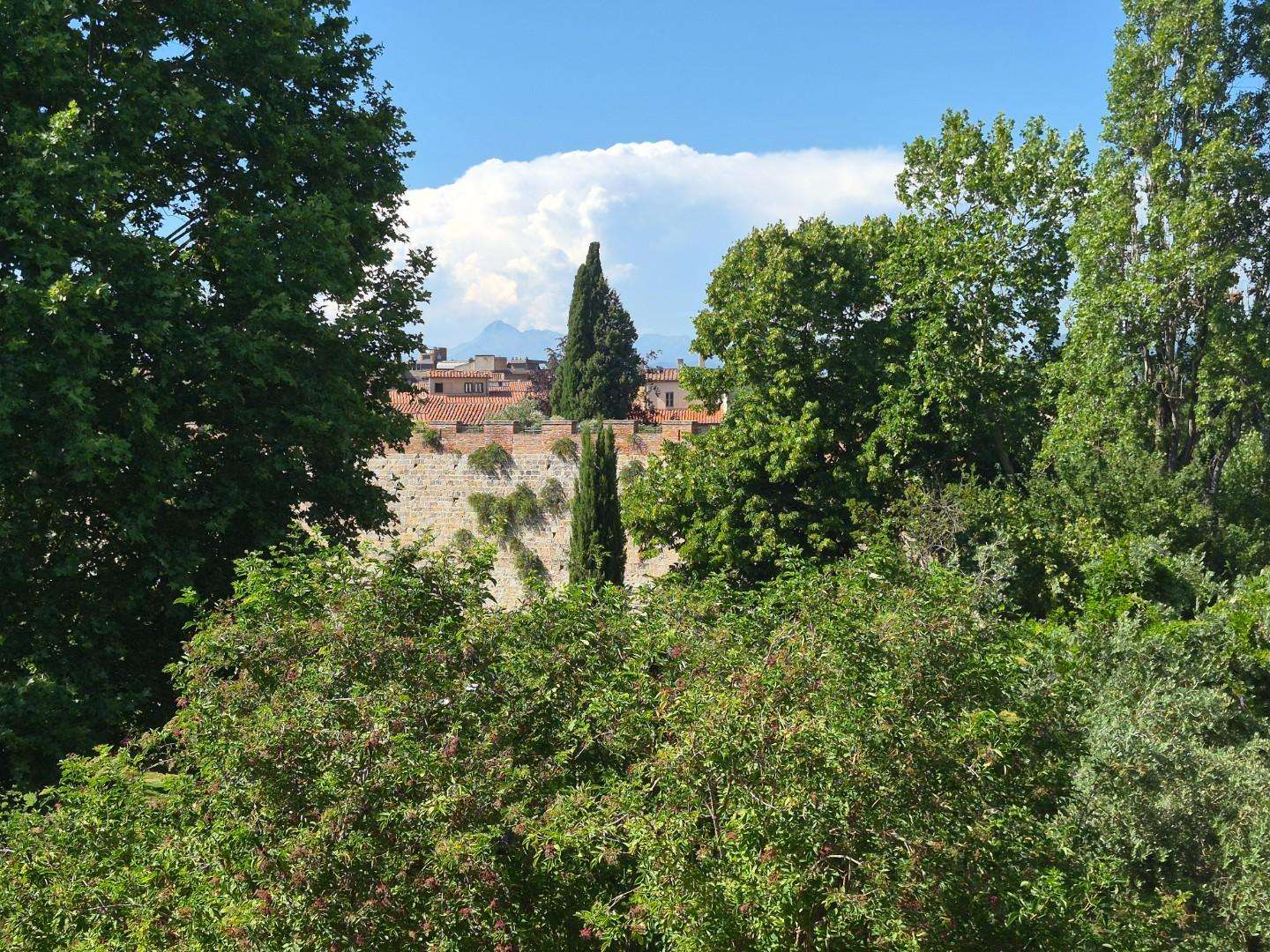  - foto 12