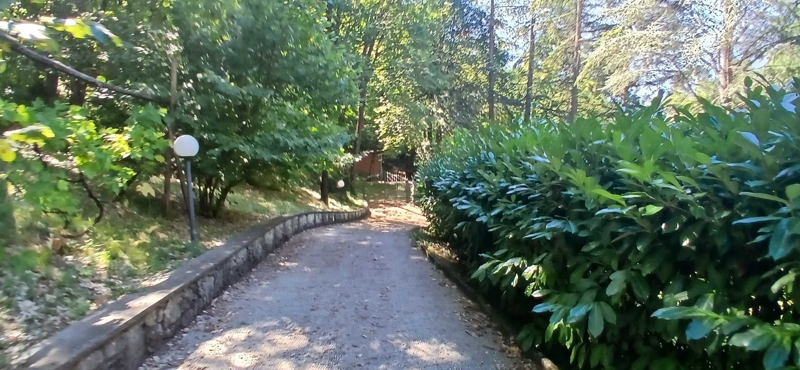  - foto 13