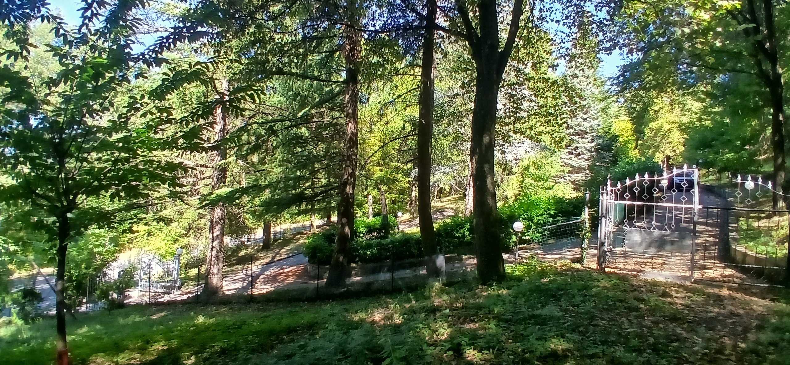  - foto 46
