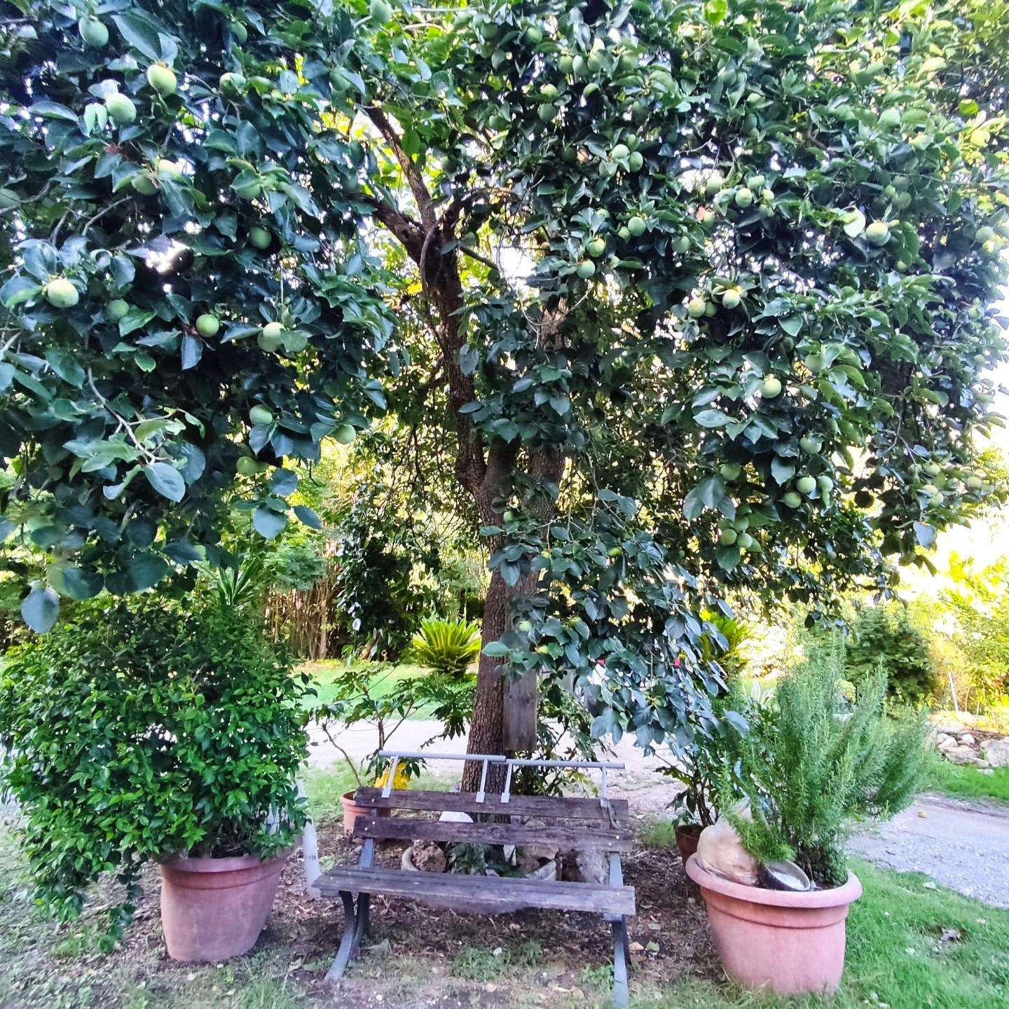  - foto 38