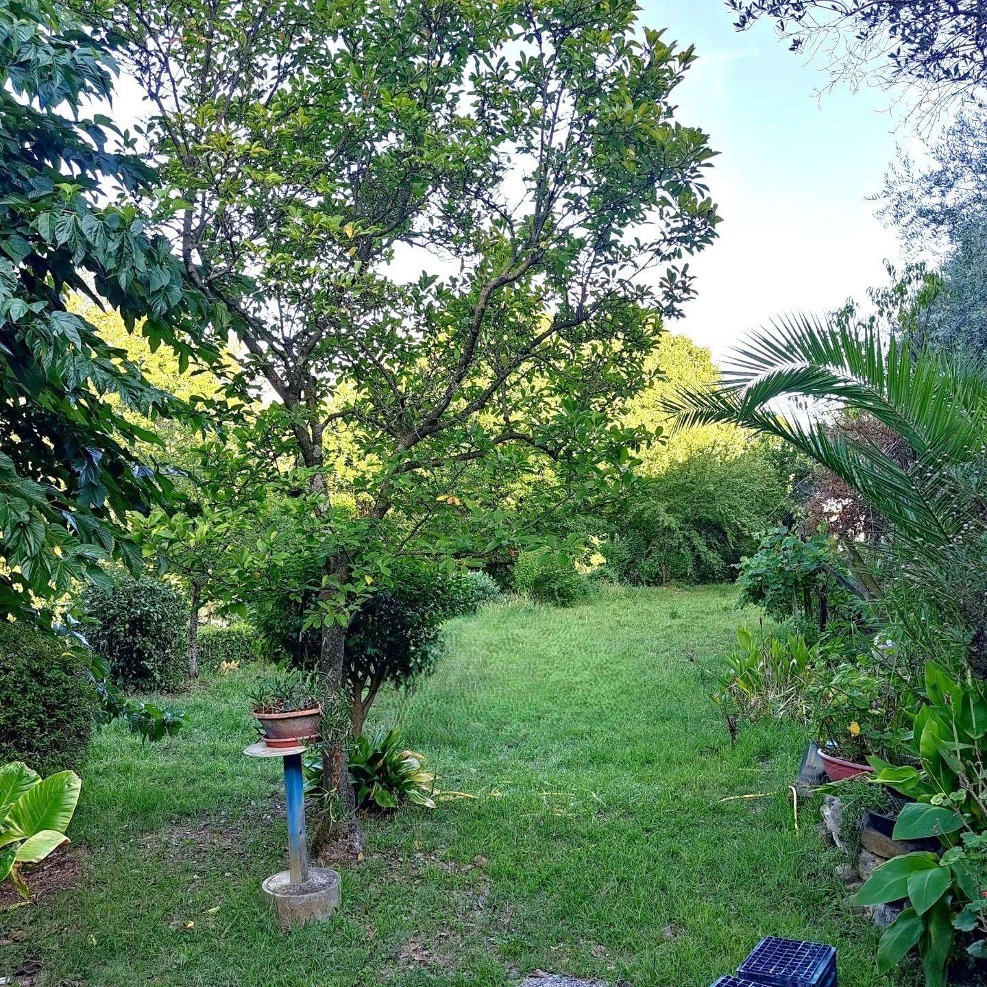  - foto 46