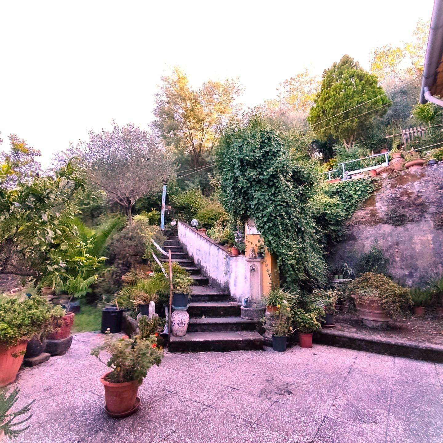  - foto 8