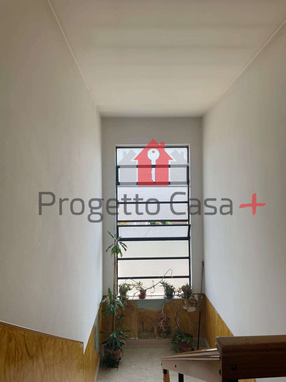  - foto 51