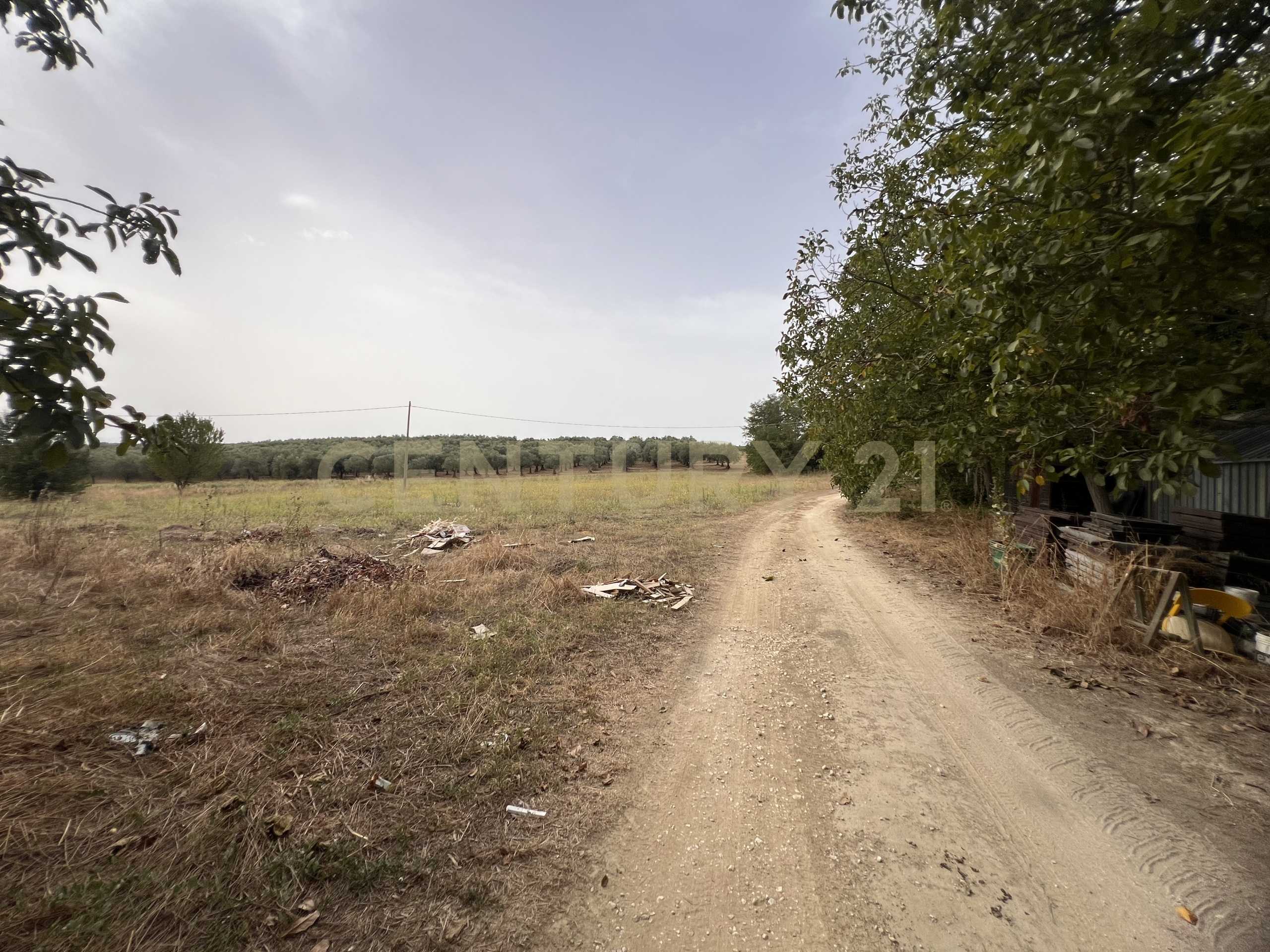  - foto 44