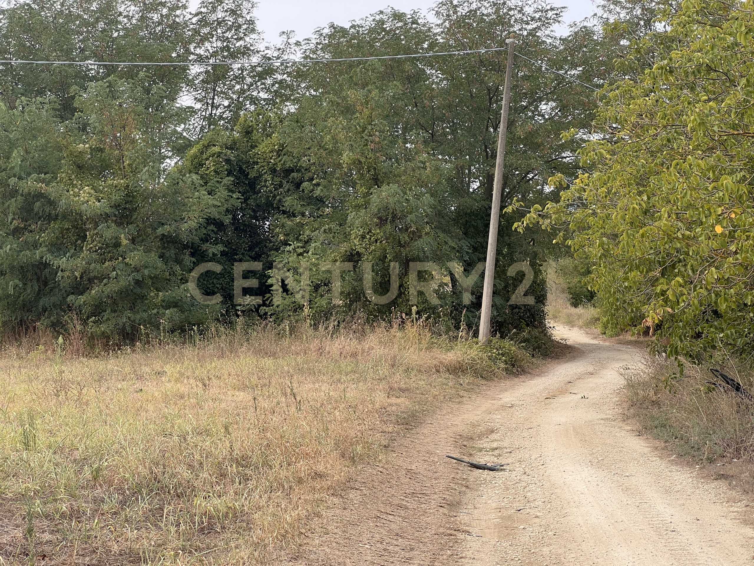  - foto 48