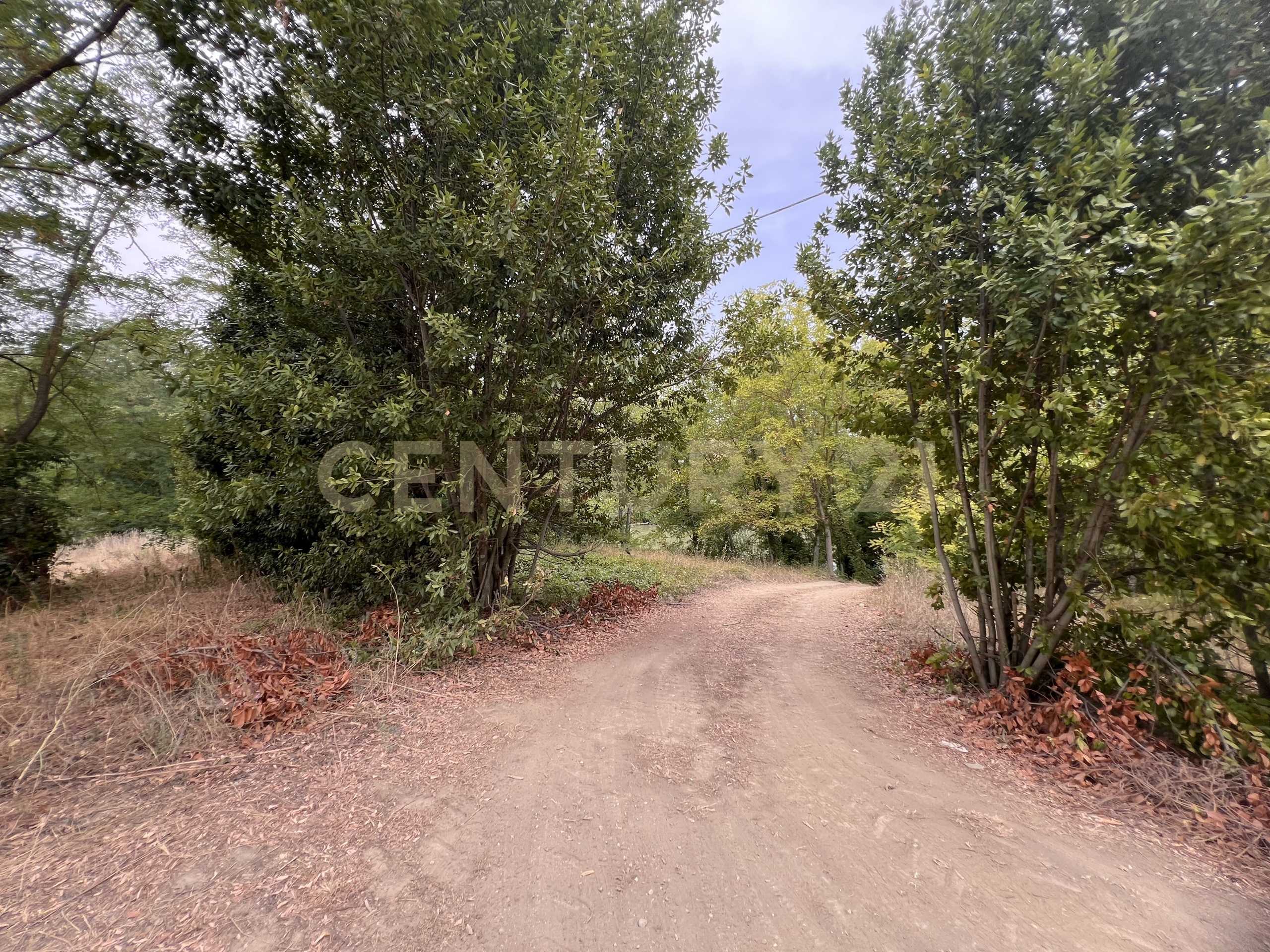  - foto 51