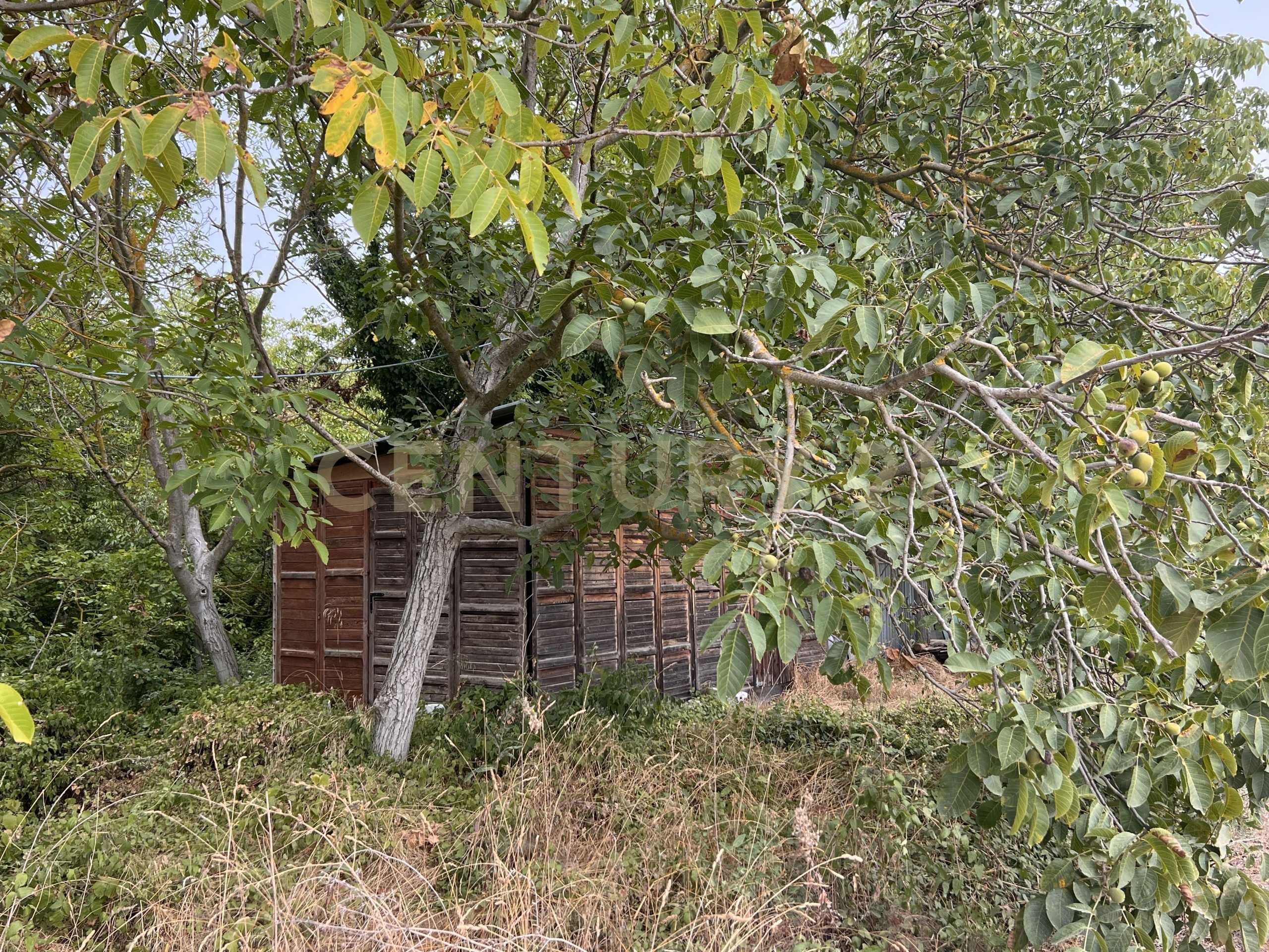  - foto 57