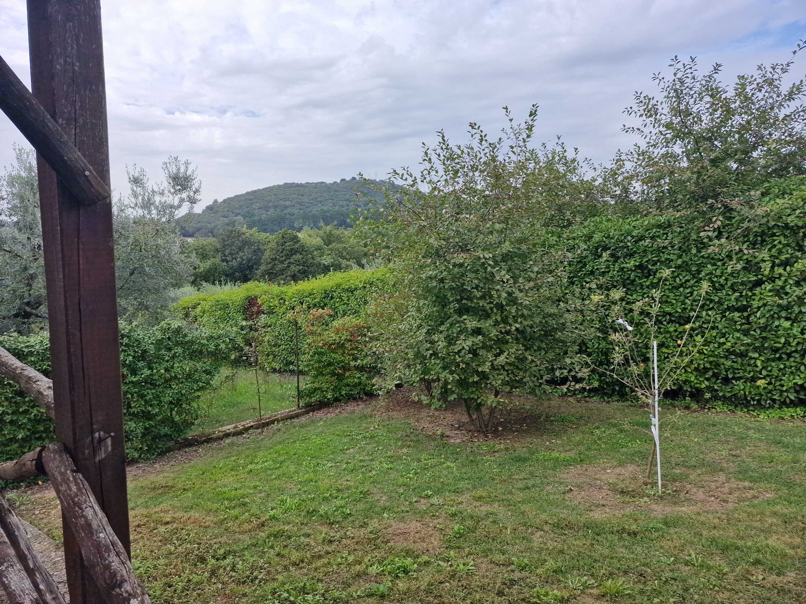  - foto 19