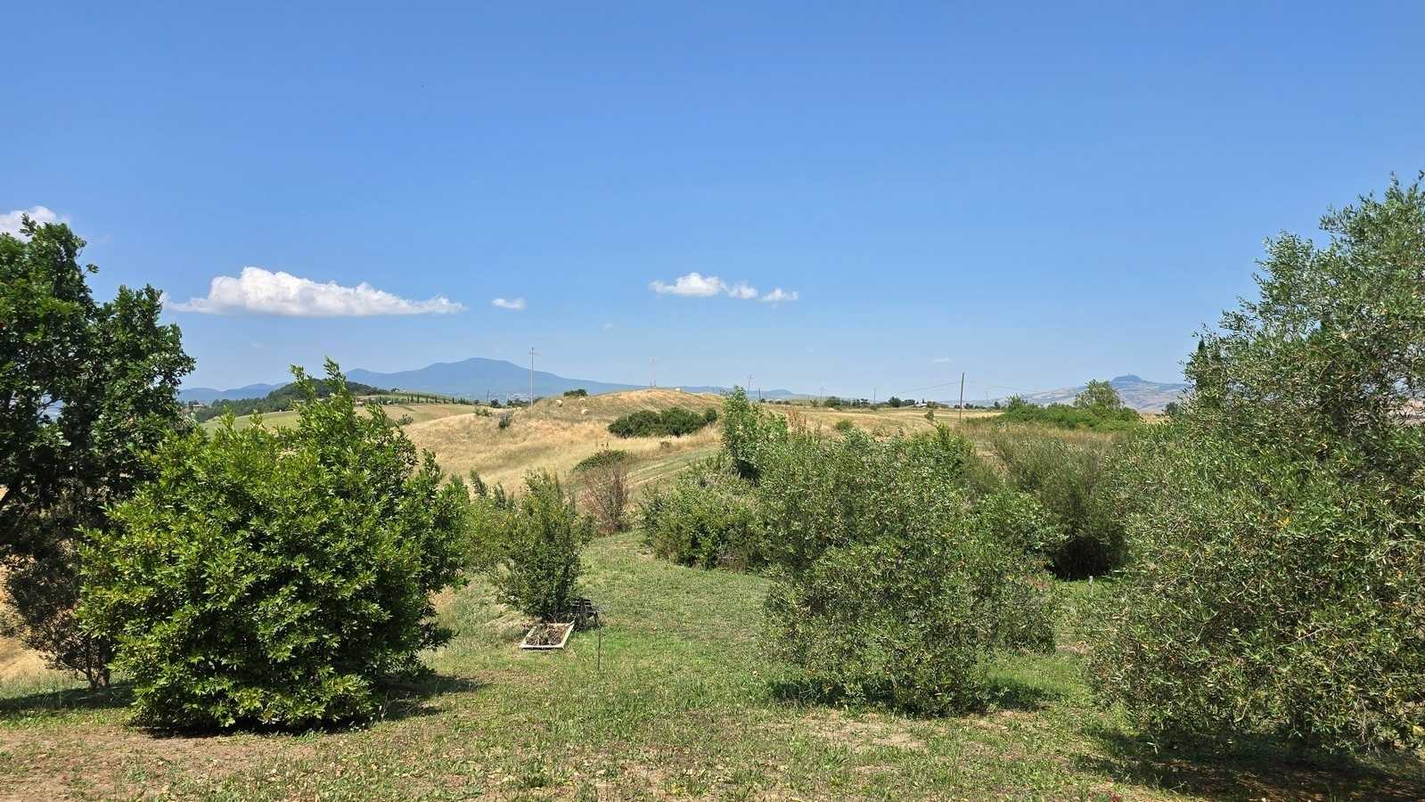  - foto 49