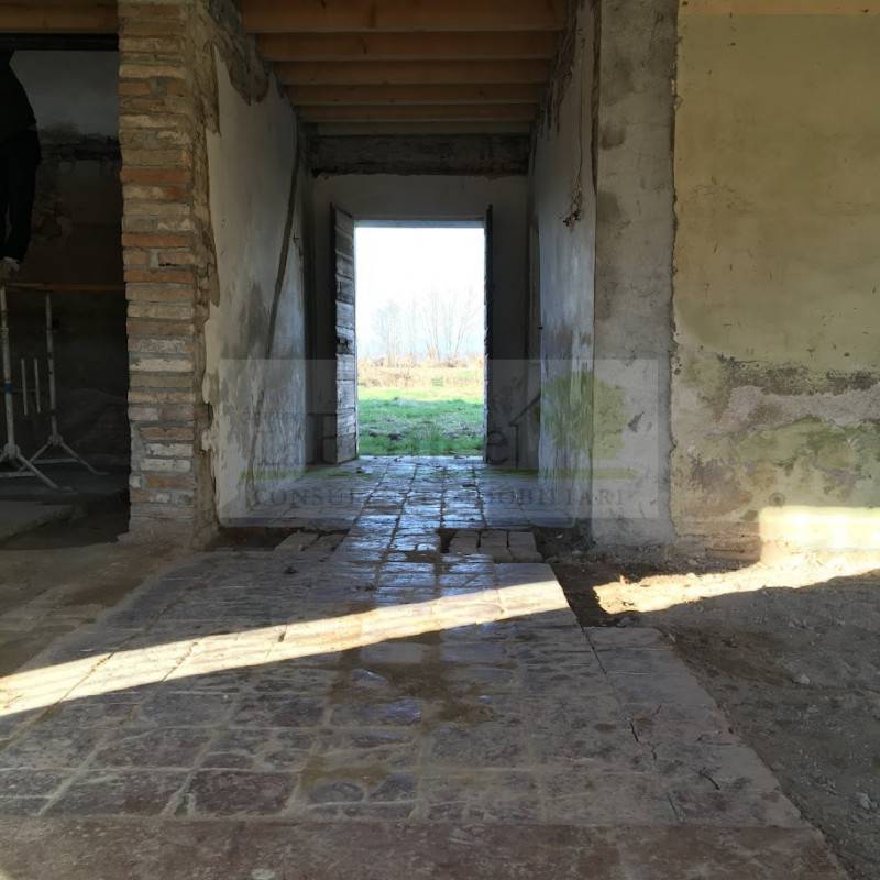  - foto 10