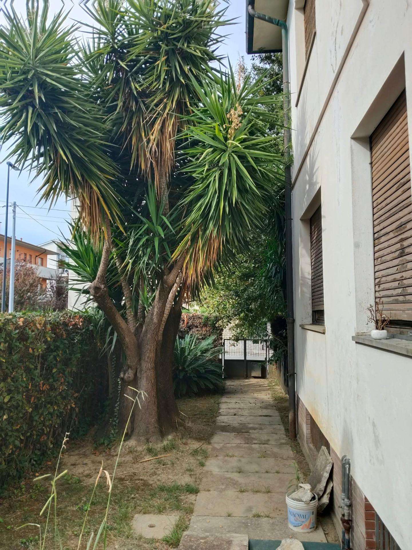  - foto 15