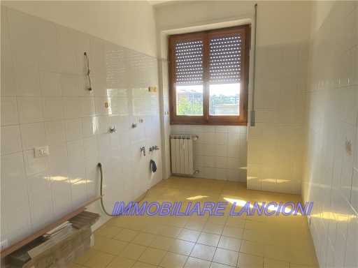  - foto 11