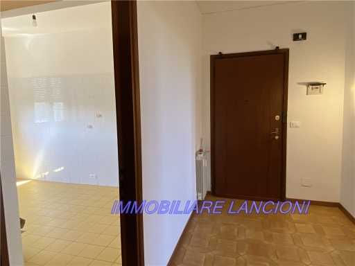  - foto 14
