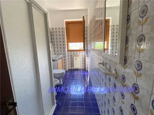  - foto 21