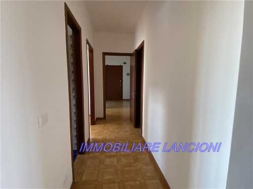  - foto 23